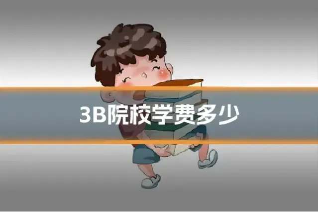 3B院校学费多少