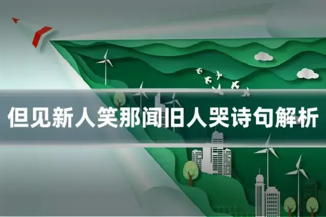 但见新人笑那闻旧人哭诗句解析