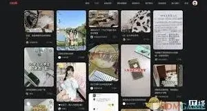 小红书网页登录设置方法