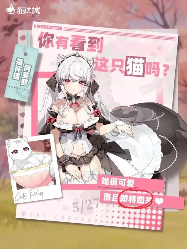 猫之城茶杯猫活动召唤指南教程