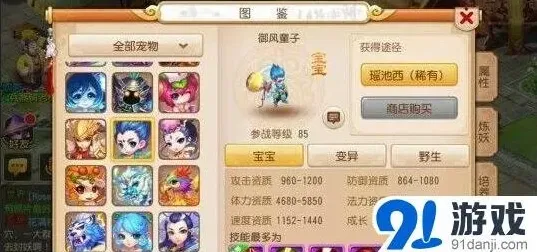 梦幻西游85级宠物攻略选择指南