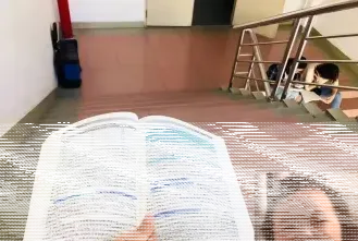 报考