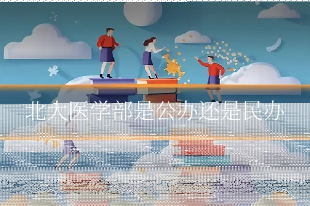 北大医学部是公办还是民办