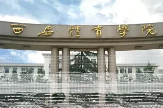 中心