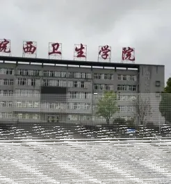 学院