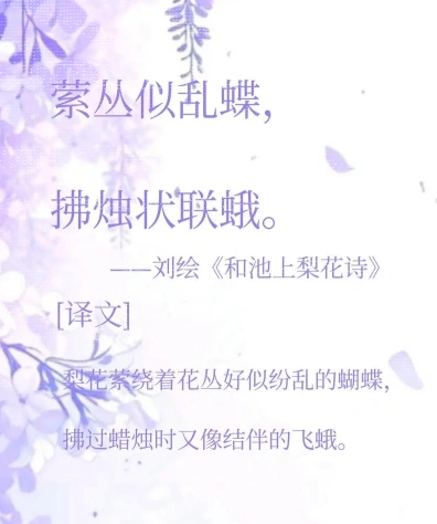 中家