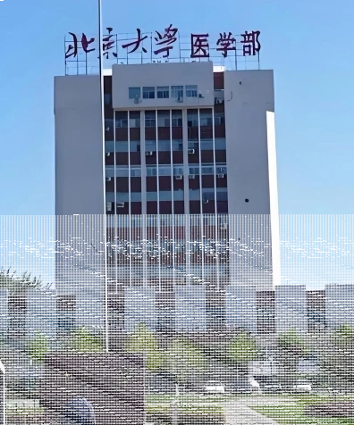 北京大学医学部