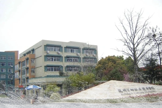 专业