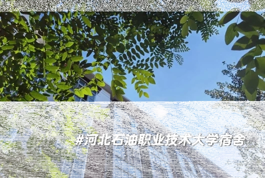 河北工业大学