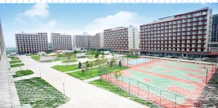 幼儿师范