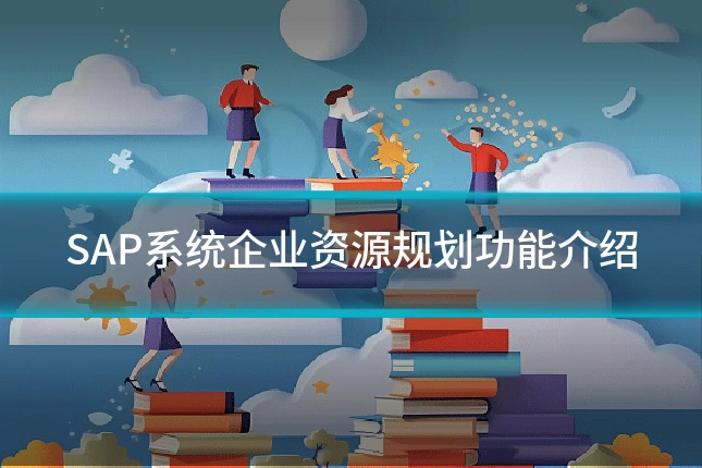 SAP系统企业资源规划功能介绍