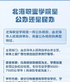实训