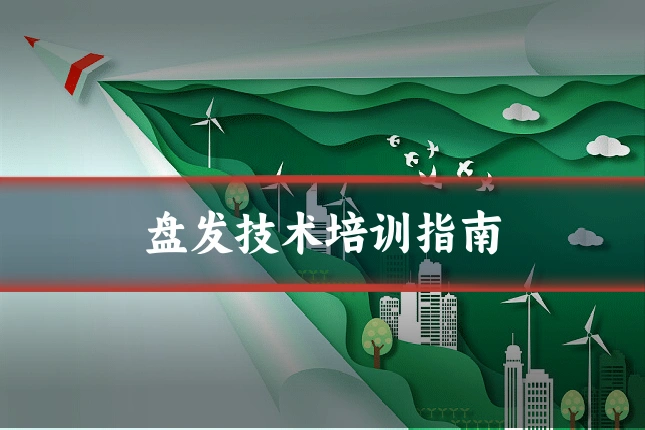 盘发技术培训指南