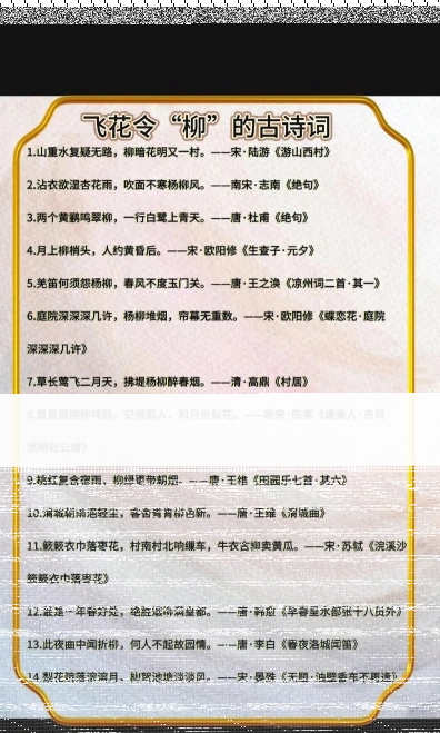 一树