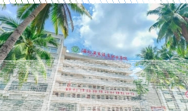 学院
