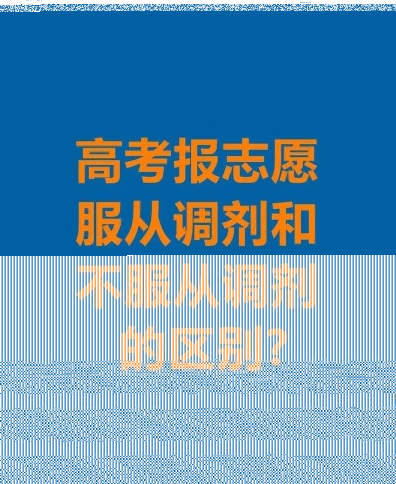 专业