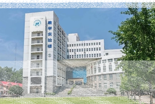 学校