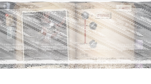 第五人格图鉴