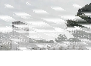 先进单位