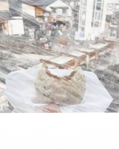 旅行青蛙图鉴
