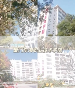 学院