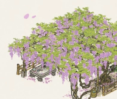 江南百景图紫藤花怎么得 玩法分享