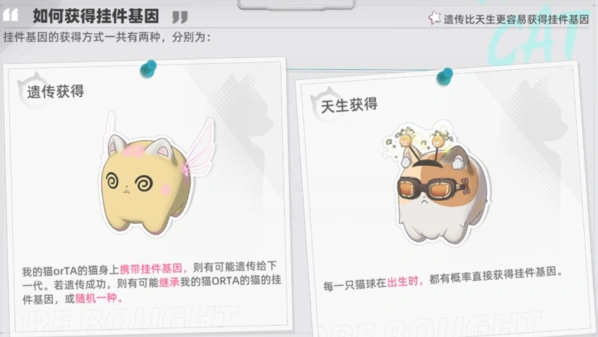 猫之城基因挂件怎么解锁技巧