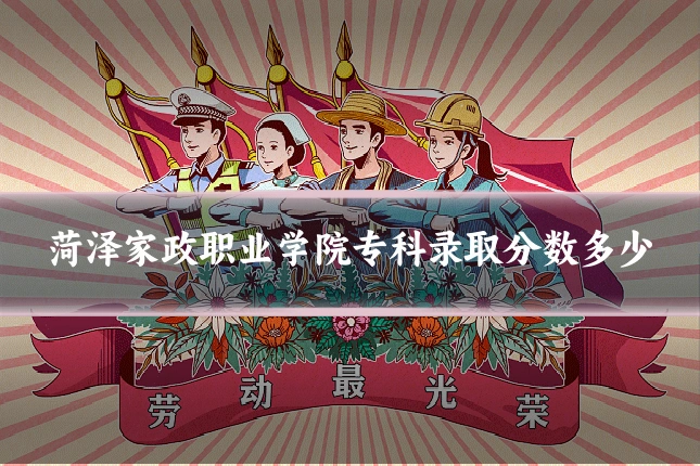 菏泽家政职业学院专科录取分数多少