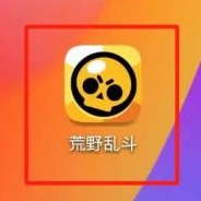荒野乱斗观战方法完整指南