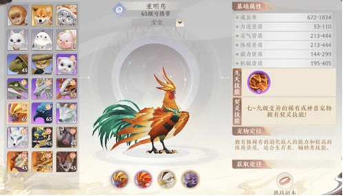 天龙八部2宠物选择玩法指南