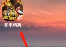 和平精英雪橇位置地点高效找到