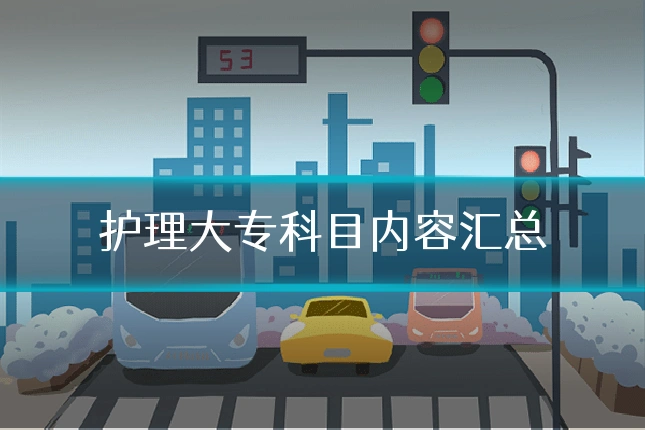 护理大专科目内容汇总