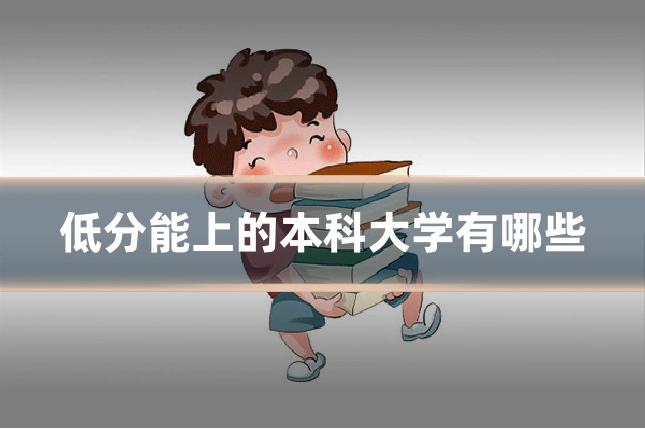 低分能上的本科大学有哪些