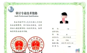 初级审计师