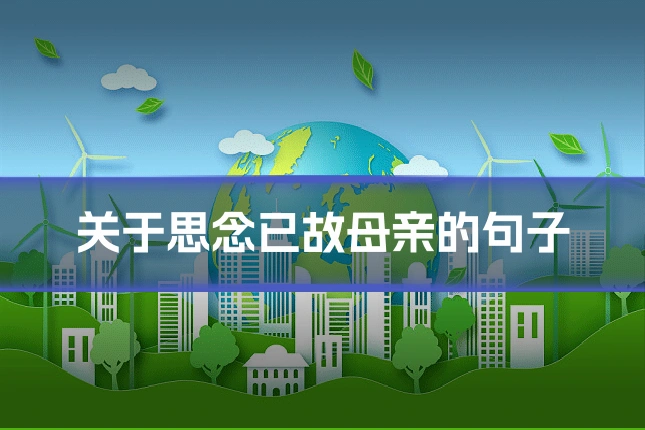 关于思念已故母亲的句子