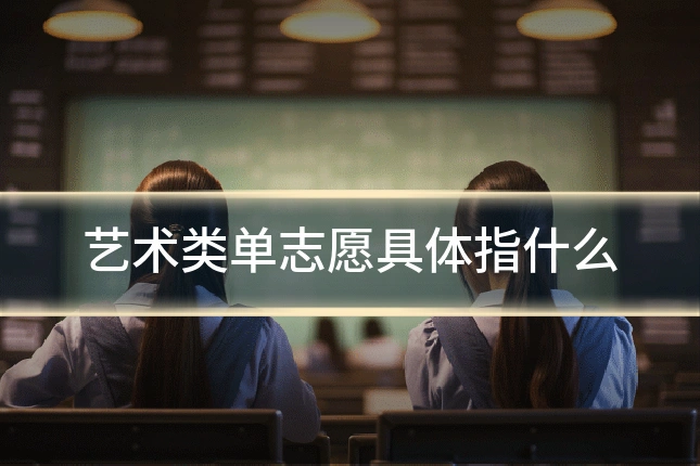 艺术类单志愿具体指什么
