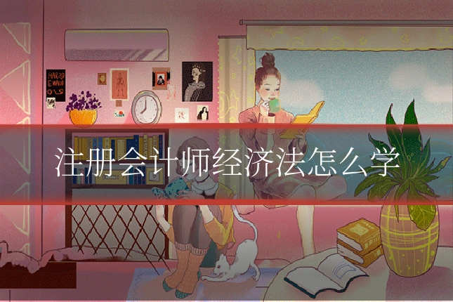 注册会计师经济法怎么学