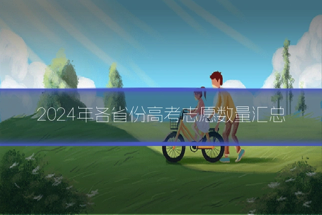2024年各省份高考志愿数量汇总