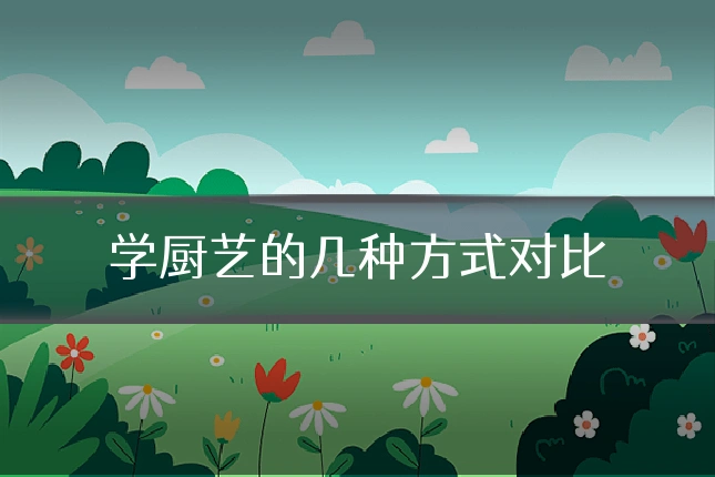 学厨艺的几种方式对比