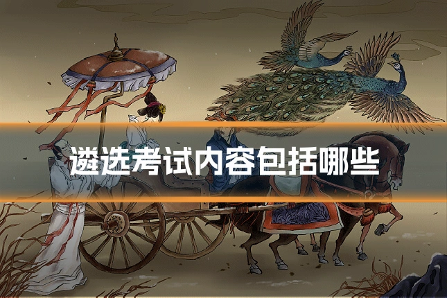 遴选考试内容包括哪些