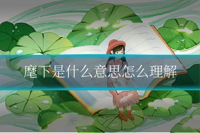 麾下是什么意思怎么理解