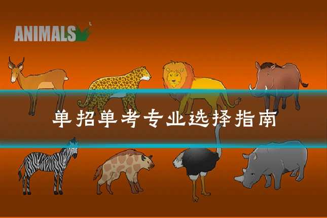 单招单考专业选择指南