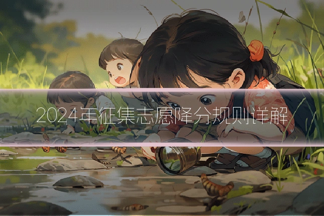 2024年征集志愿降分规则详解