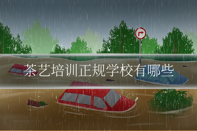茶艺培训正规学校有哪些