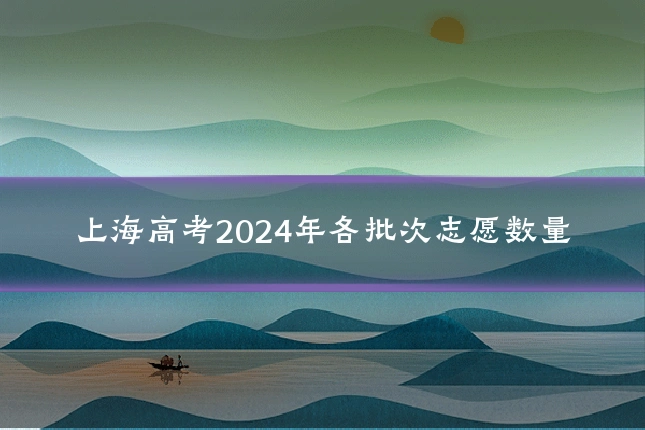 上海高考2024年各批次志愿数量