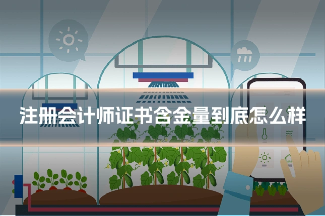 注册会计师证书含金量到底怎么样