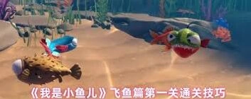 我是小鱼儿飞鱼玩法操作教程