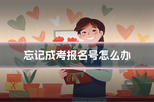 忘记成考报名号怎么办