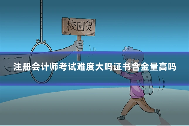注册会计师考试难度大吗证书含金量高吗