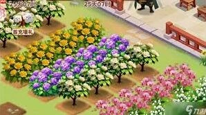 我的花园山茶花一年四季养护方法